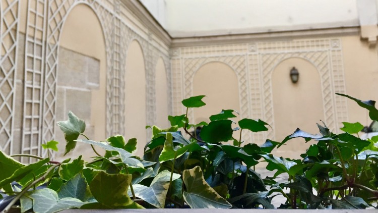 Amélie De Andreis Naturopathe Paris centre
