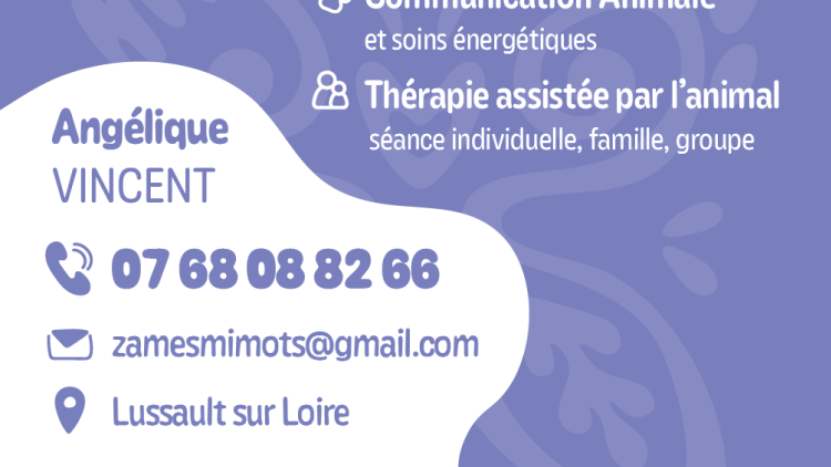 Z'Âmes mi Mots