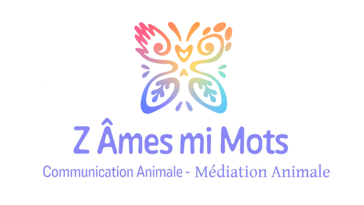 Z'Âmes mi Mots