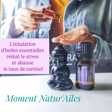 MOMENT NATUR'AILES - Portfolio