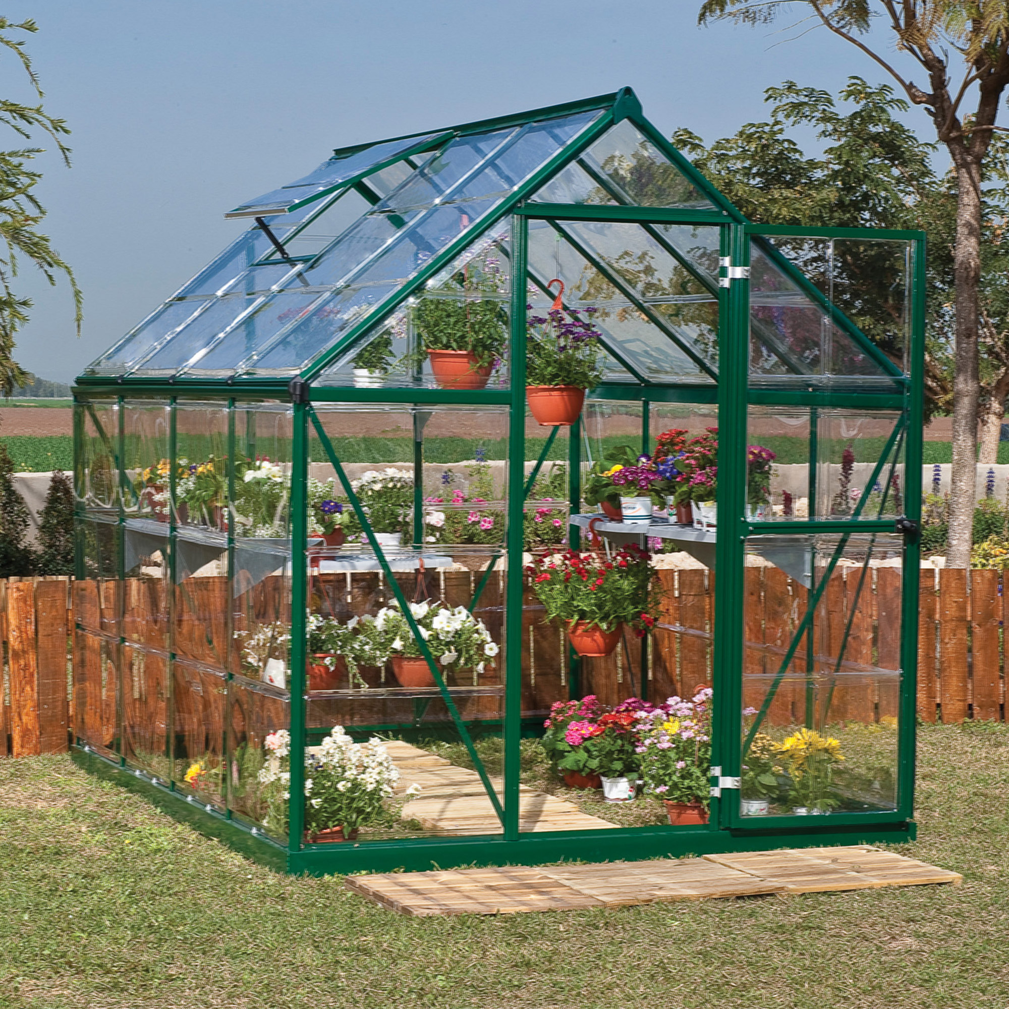 Palram Canopia Harmony 6x8 Green Polycarbonate Greenhouse