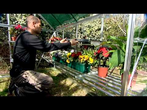 Shedstore image 23