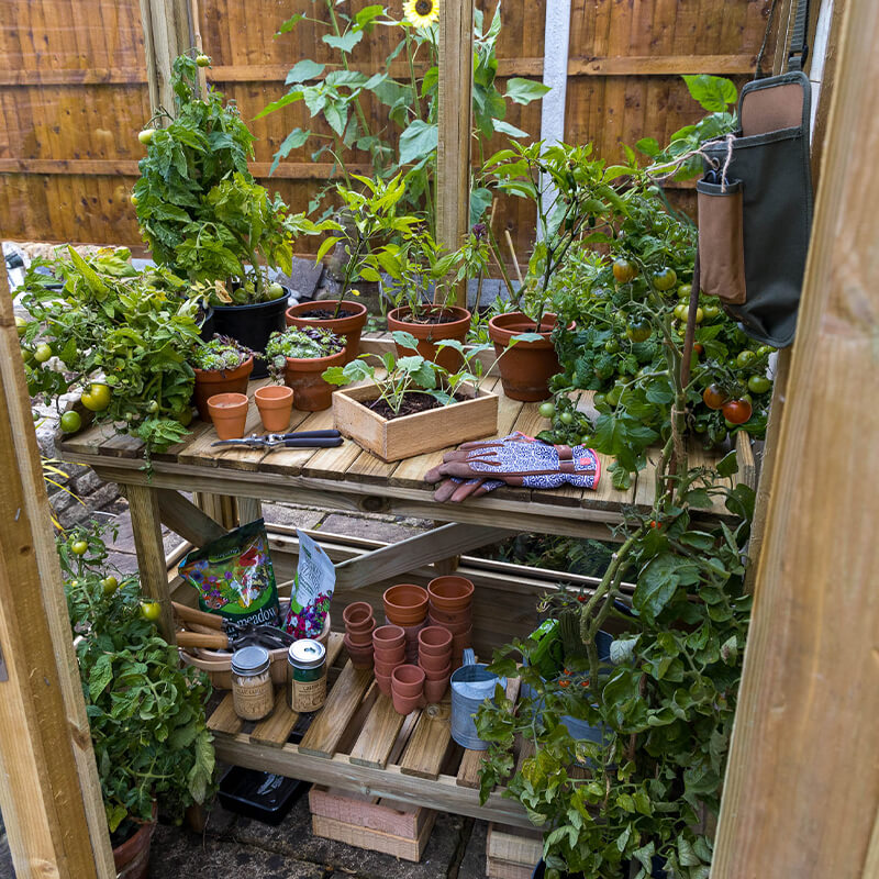 Shedstore image 5
