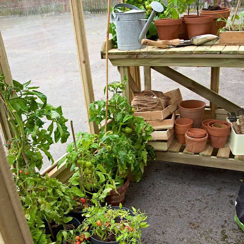 Shedstore image 7