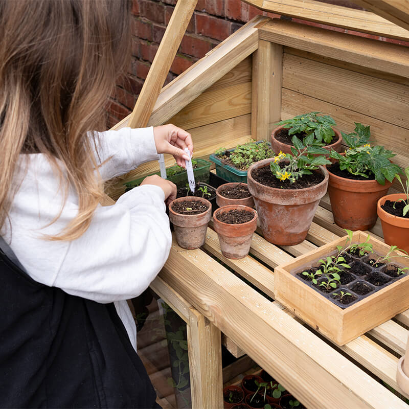 Shedstore image 11