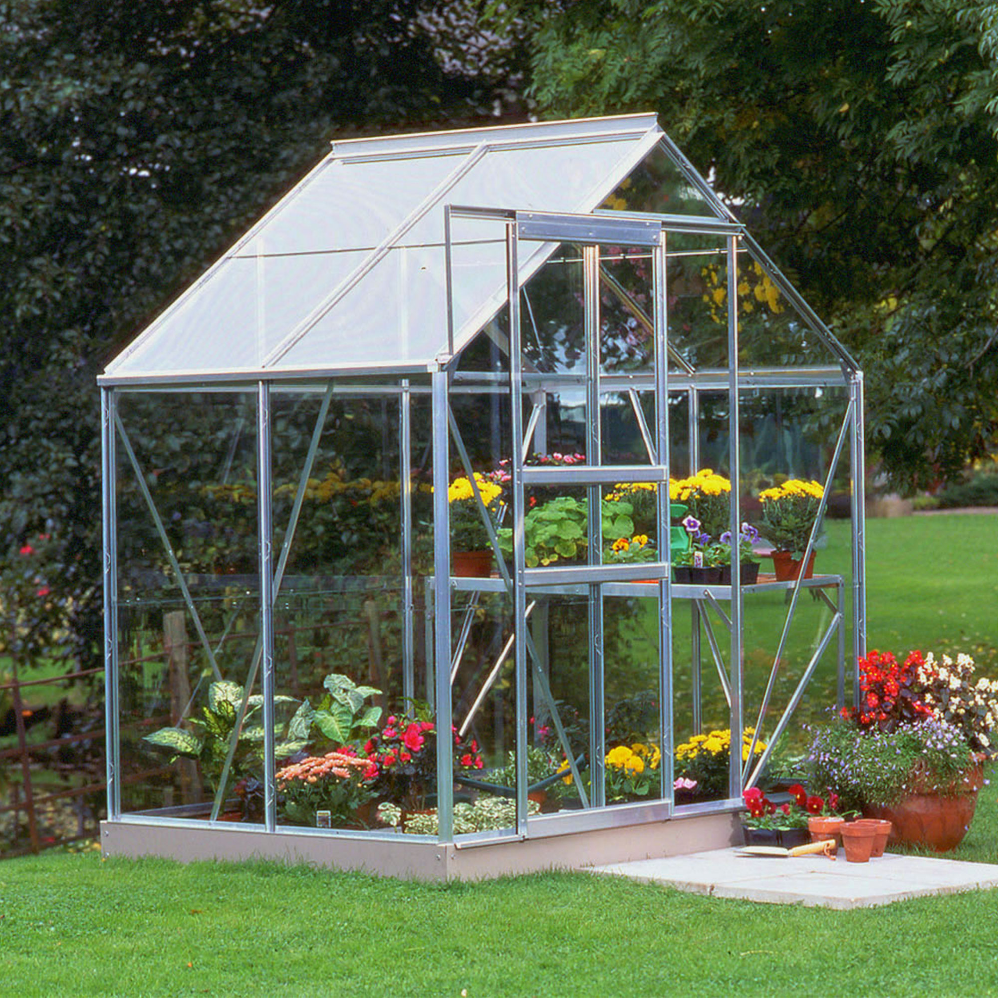 Halls Popular 64 Small Greenhouse 6x4