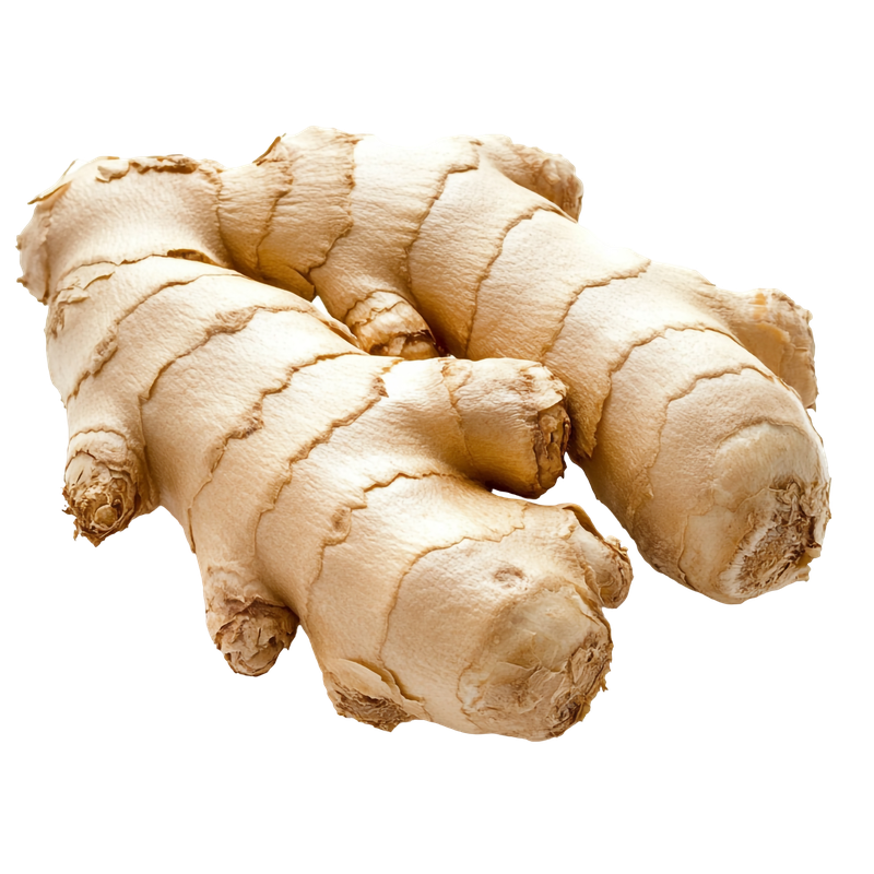 زنجبيل