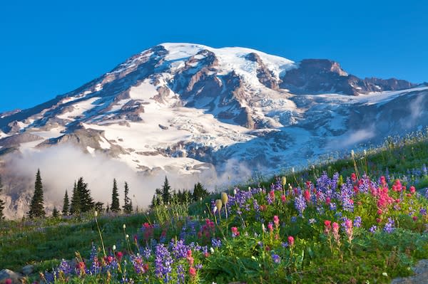 Mount Rainier National Park - Outdoor Things to do in Seattle