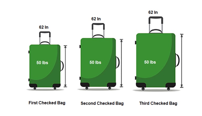 Top more than 70 united airlines checked bags - in.duhocakina