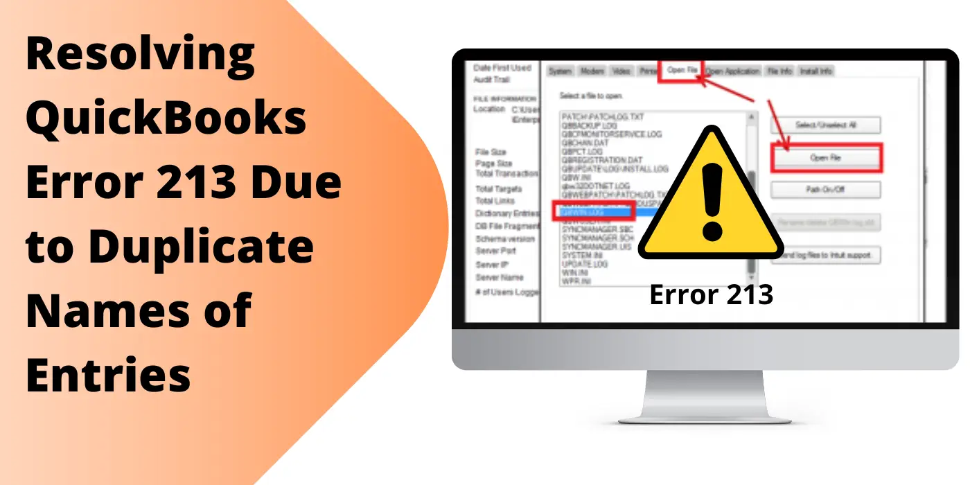 QuickBooks Error 213