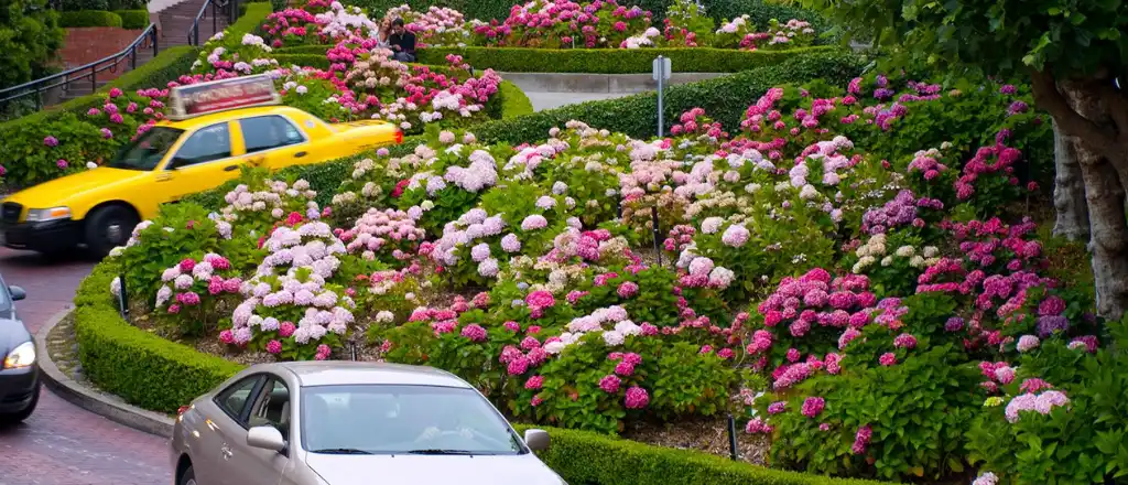 Driving through Lombard Street