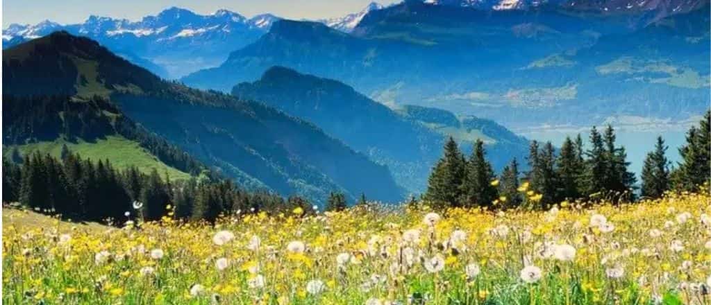 Spring in Switzerland
