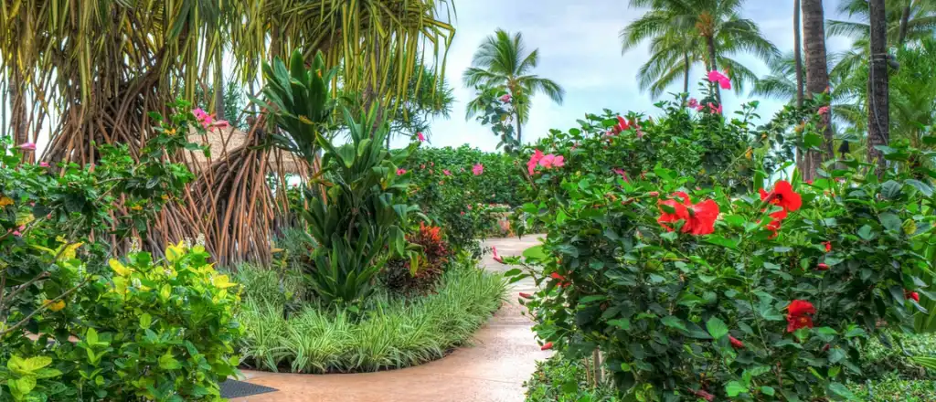 Princeville Botanical Garden in Kauai islands hawaii