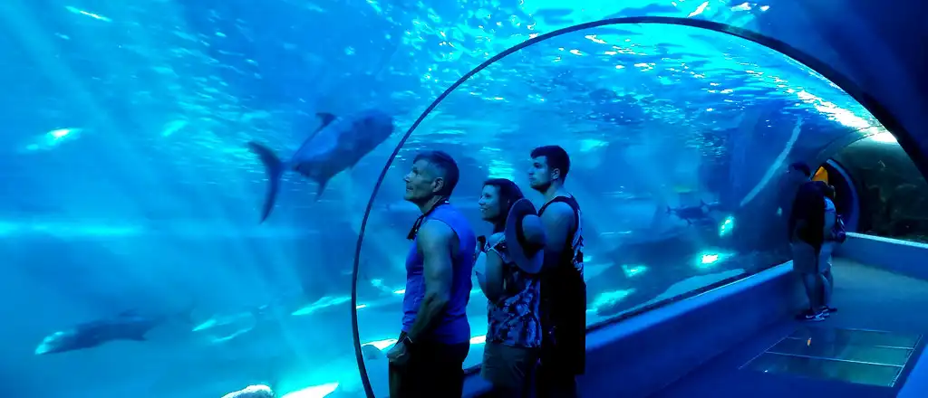 Maui Ocean Center in hawaii