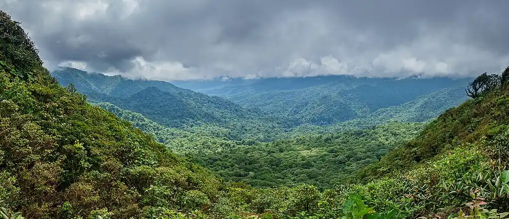 Best Time to Visit Costa Rica on Green Season