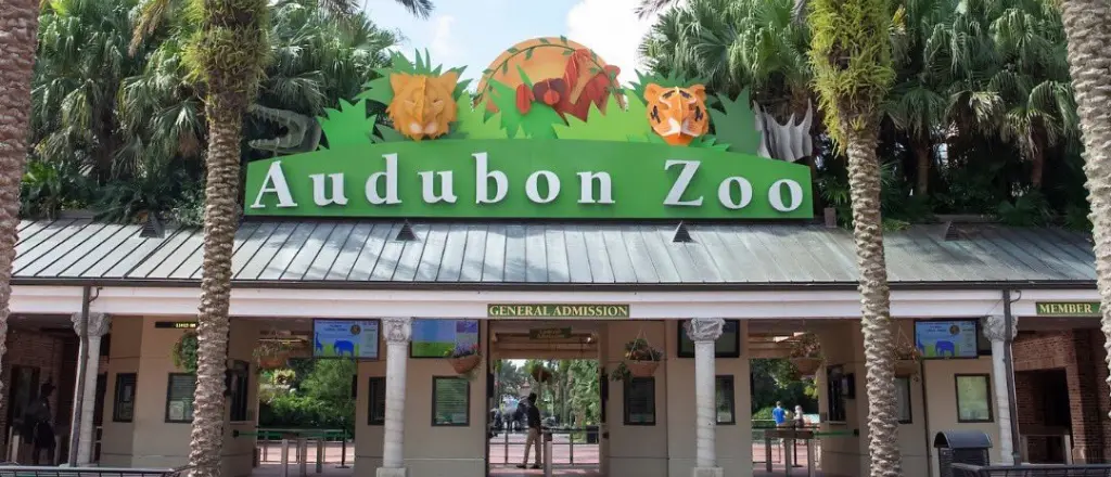Audubon Zoo in Orleans