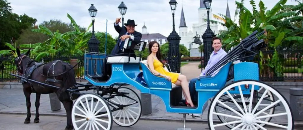 Mule Driven carriage in New Orleans
