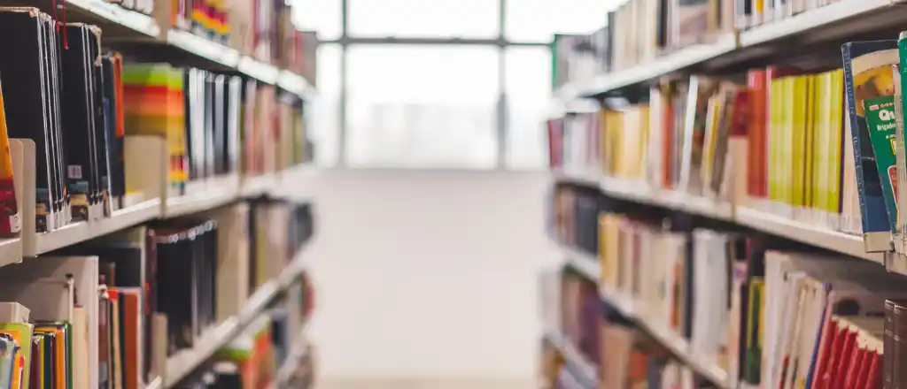 Public Library in Orleans