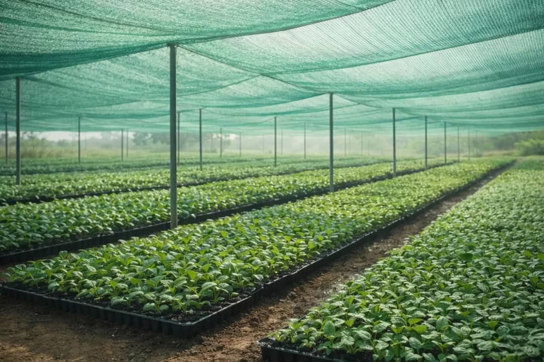 Premium B2B Agricultural Solutions