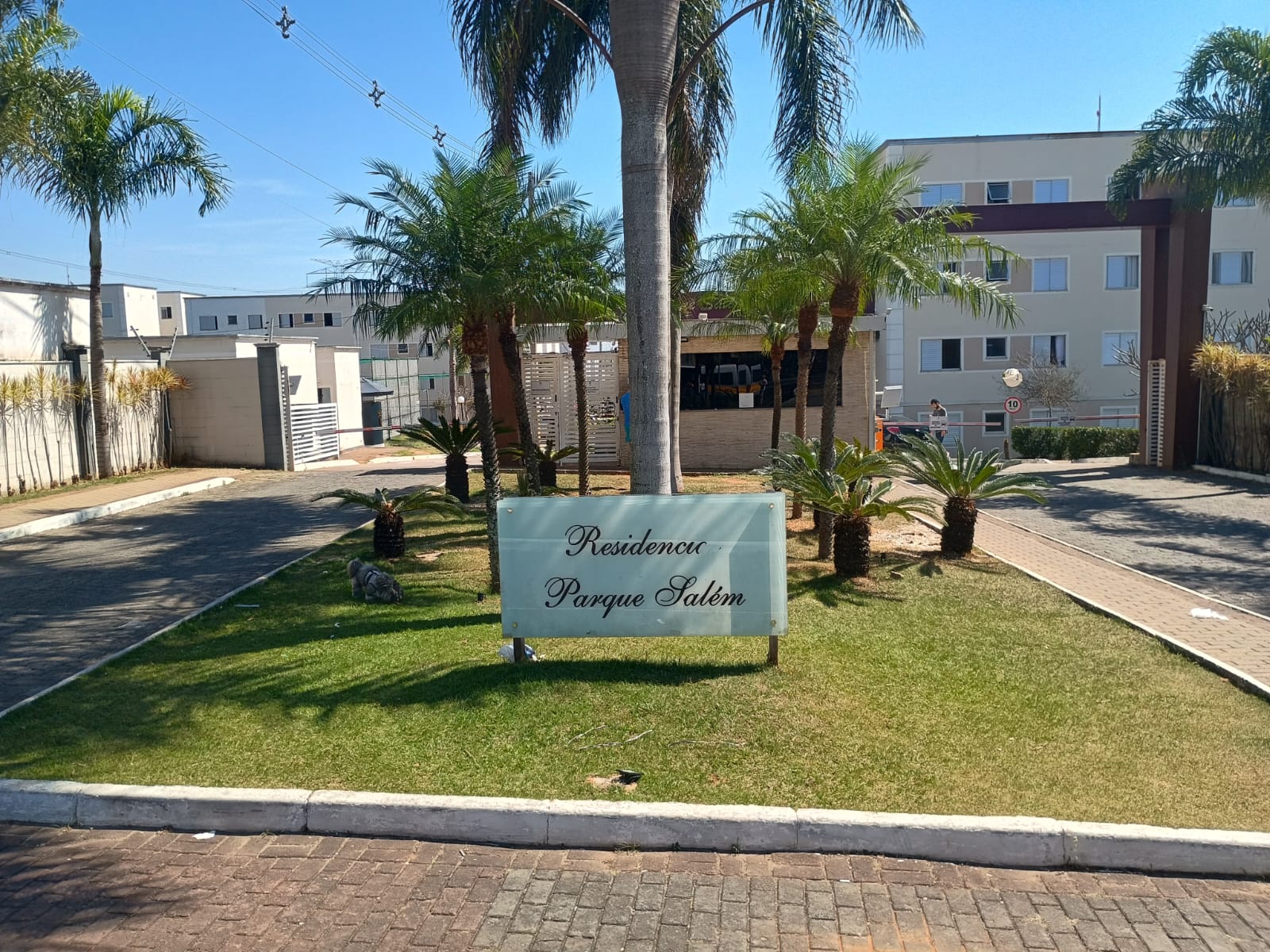 Apartamento - Parque Salem