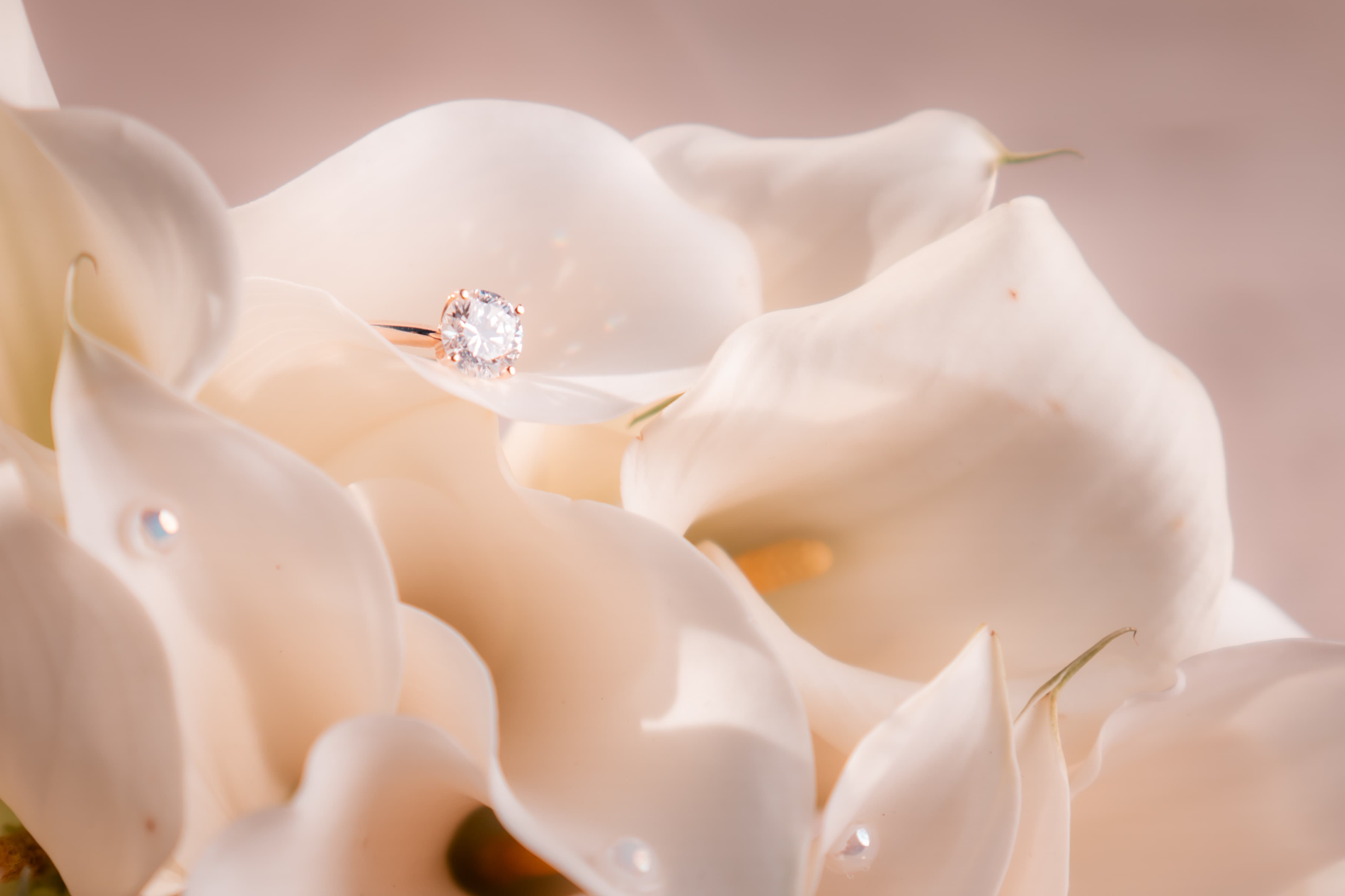 Engagement