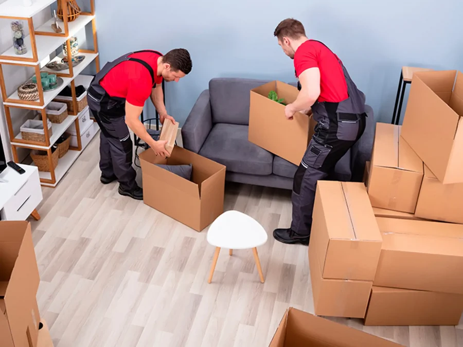 Where To Find Affordable Movers Packers In Brussels Today