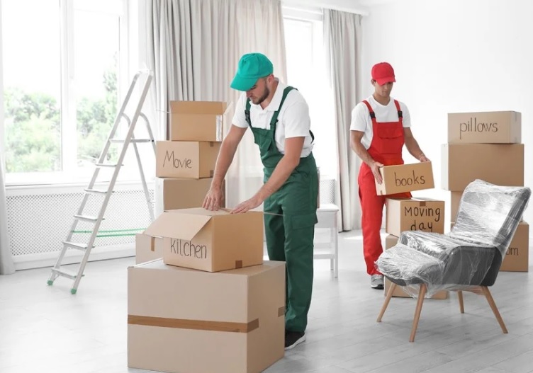 Where To Find Affordable Movers Packers In Antwerp Today