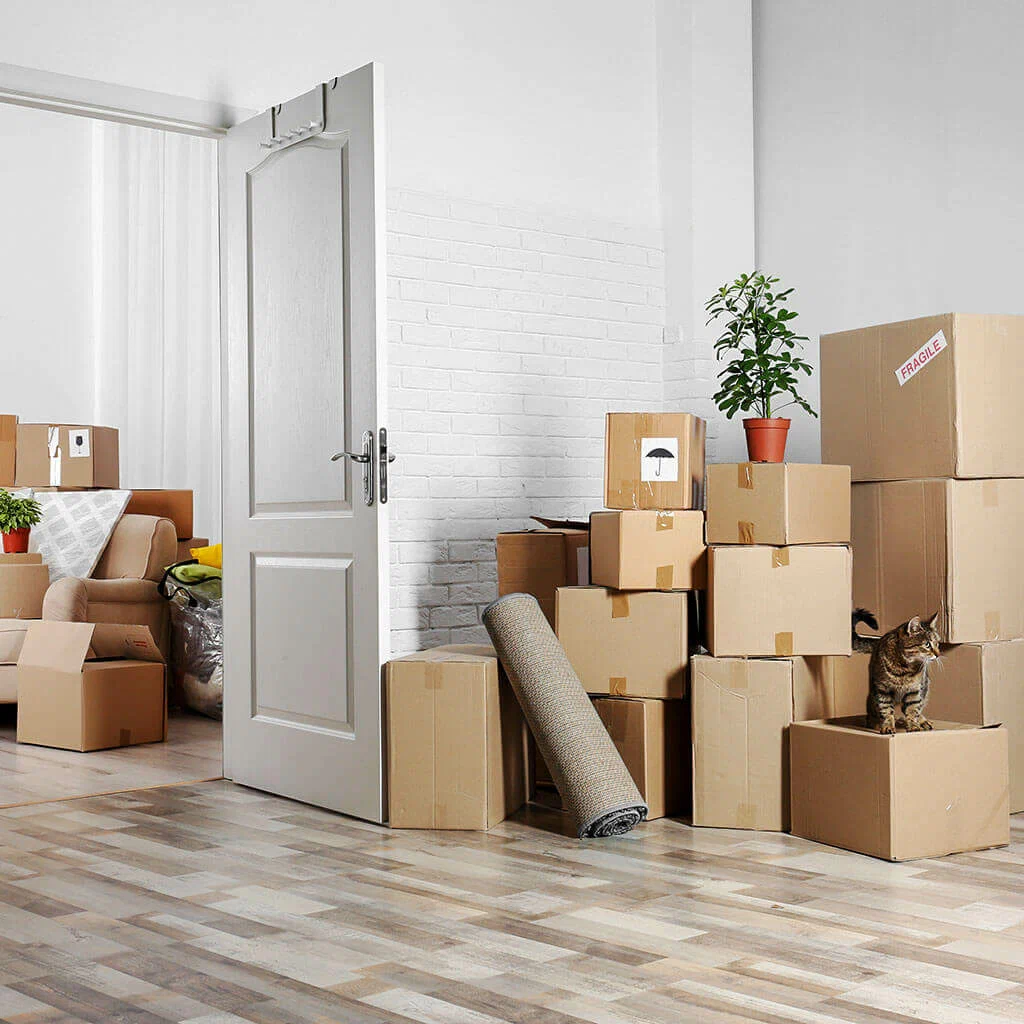 Where To Find Affordable Movers Packers In Liege Today