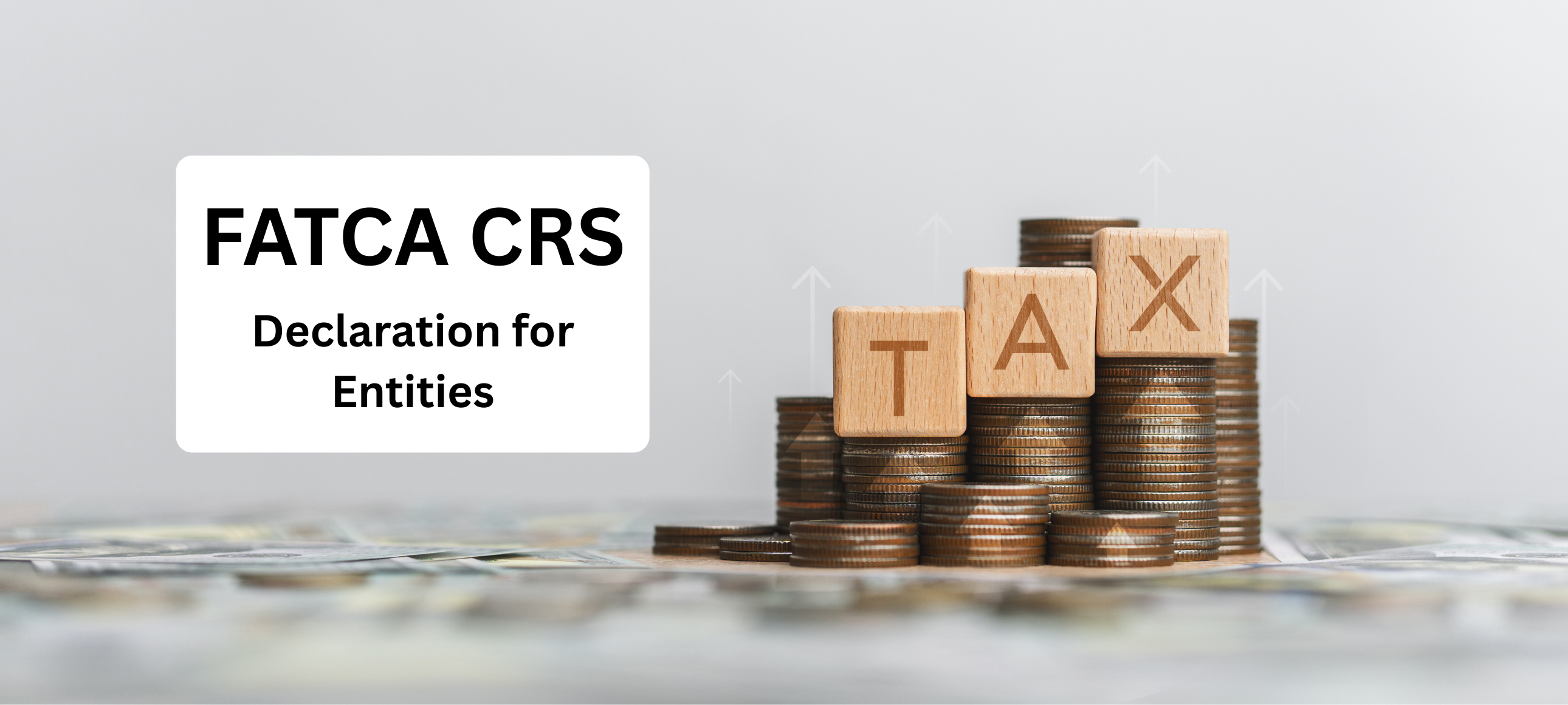 How to Fill Out the FATCA CRS Declaration for Entities (2026 Guide)