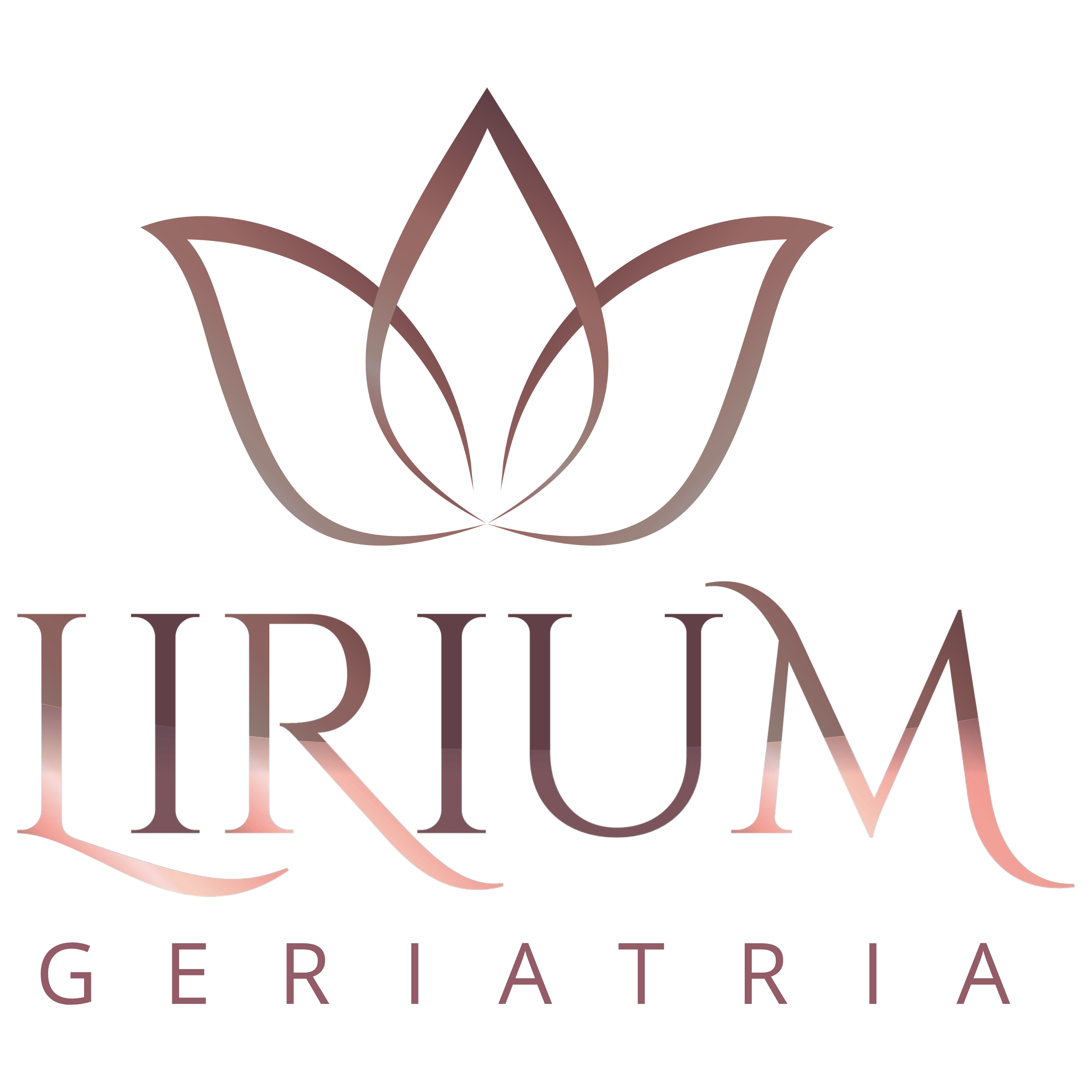 Logo Lirium