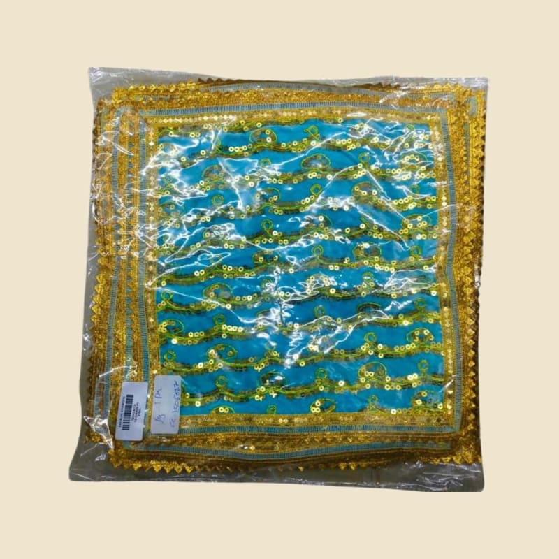 Embroidered Puja Chunri, Sky Blue, Size 9 (CITS06027U) on a warm ivory background