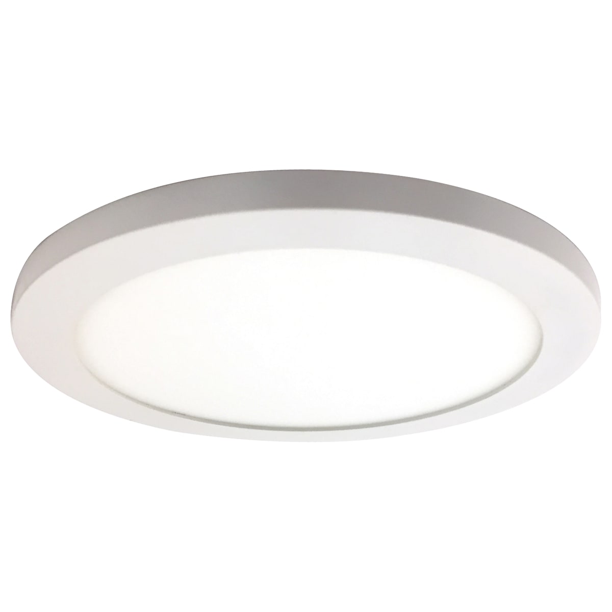 Disc