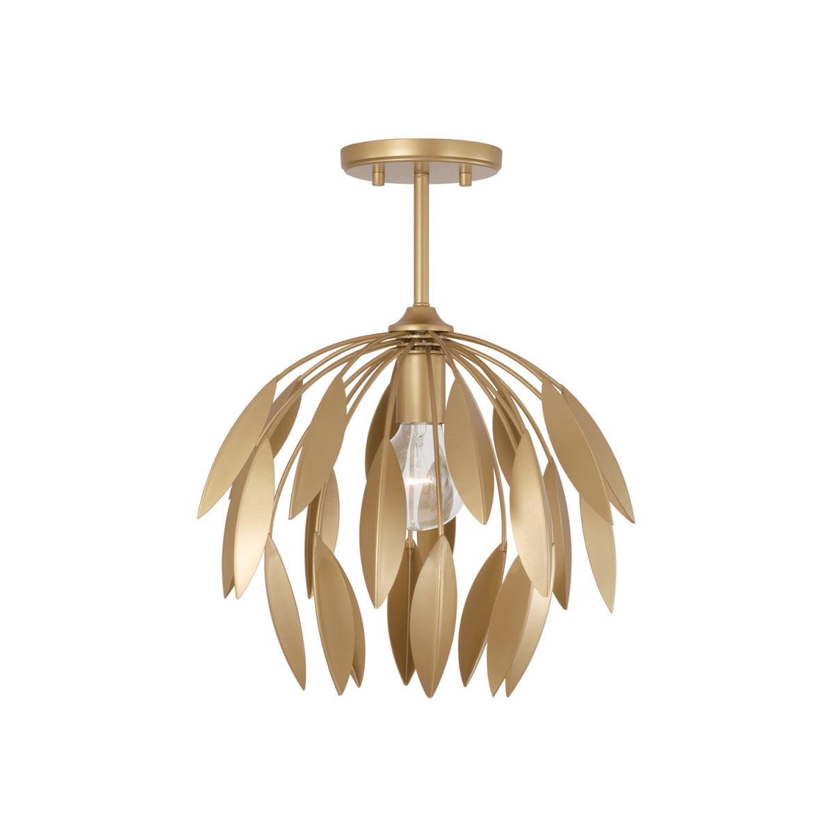 14"W x 12.25"H 1-Light Botanical Semi-Flush Pendant in Buffed Gold