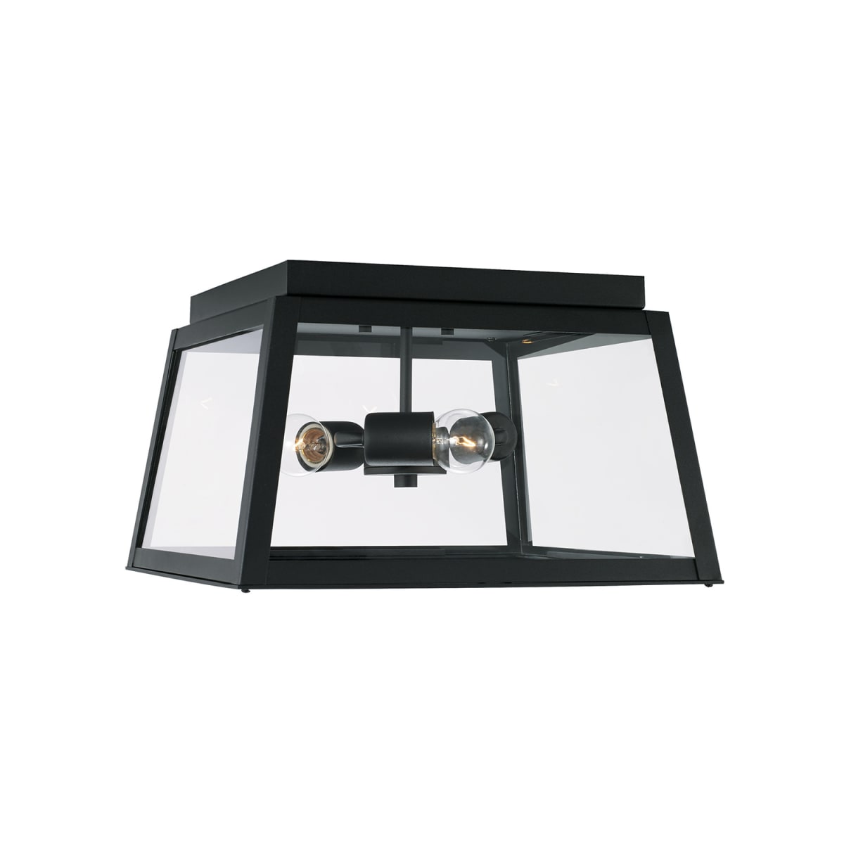 14.5" W x 9" H Wide 3-Light Outdoor Flush Mount in Black with Clear Glass