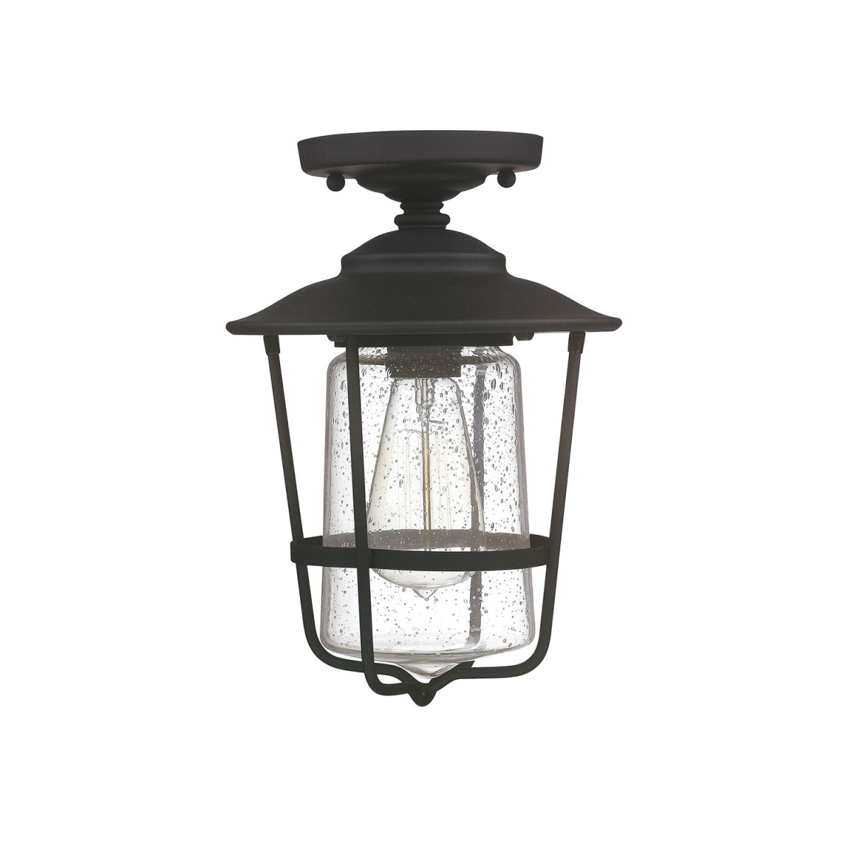 8" W x 12" H 1-Light Clear Seeded Glass Outdoor Flush Mount
