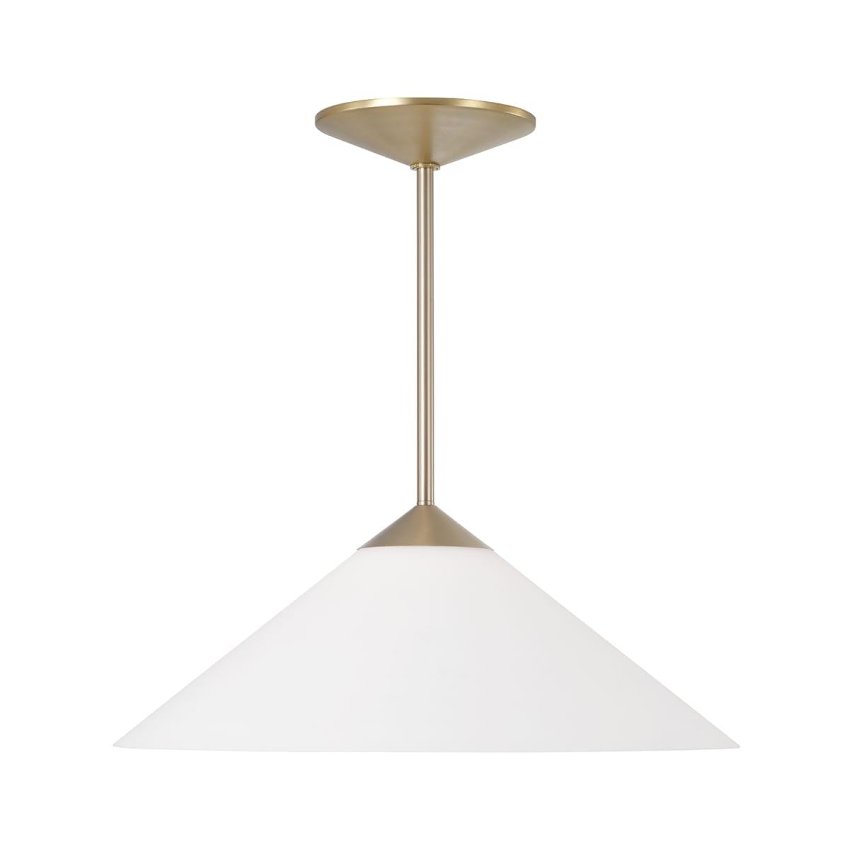1-Light Pendant