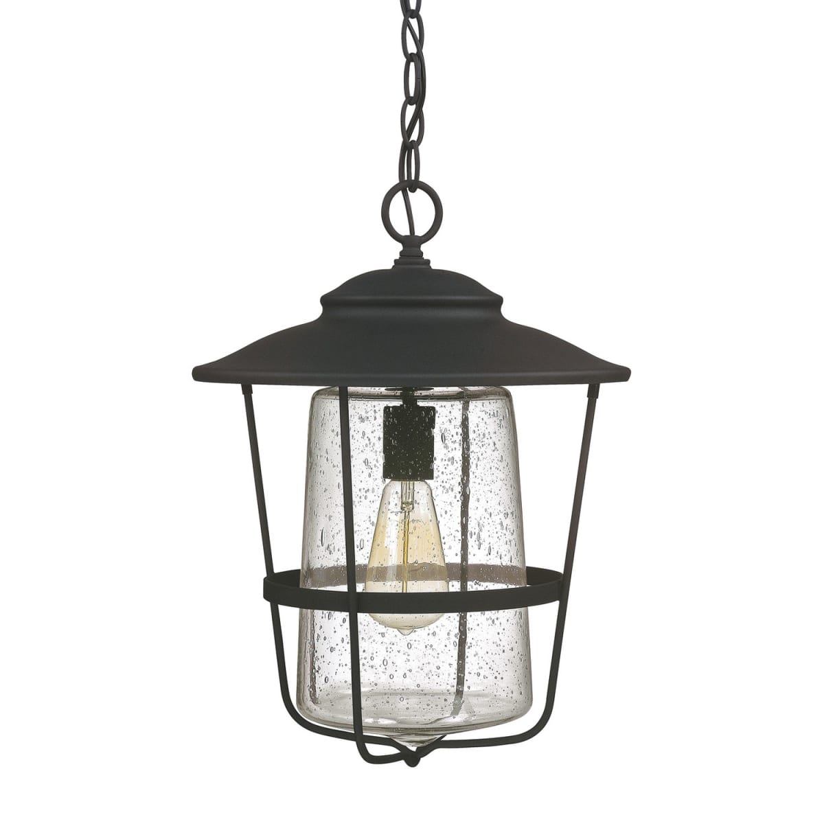 1-Light Outdoor Hanging-Lantern