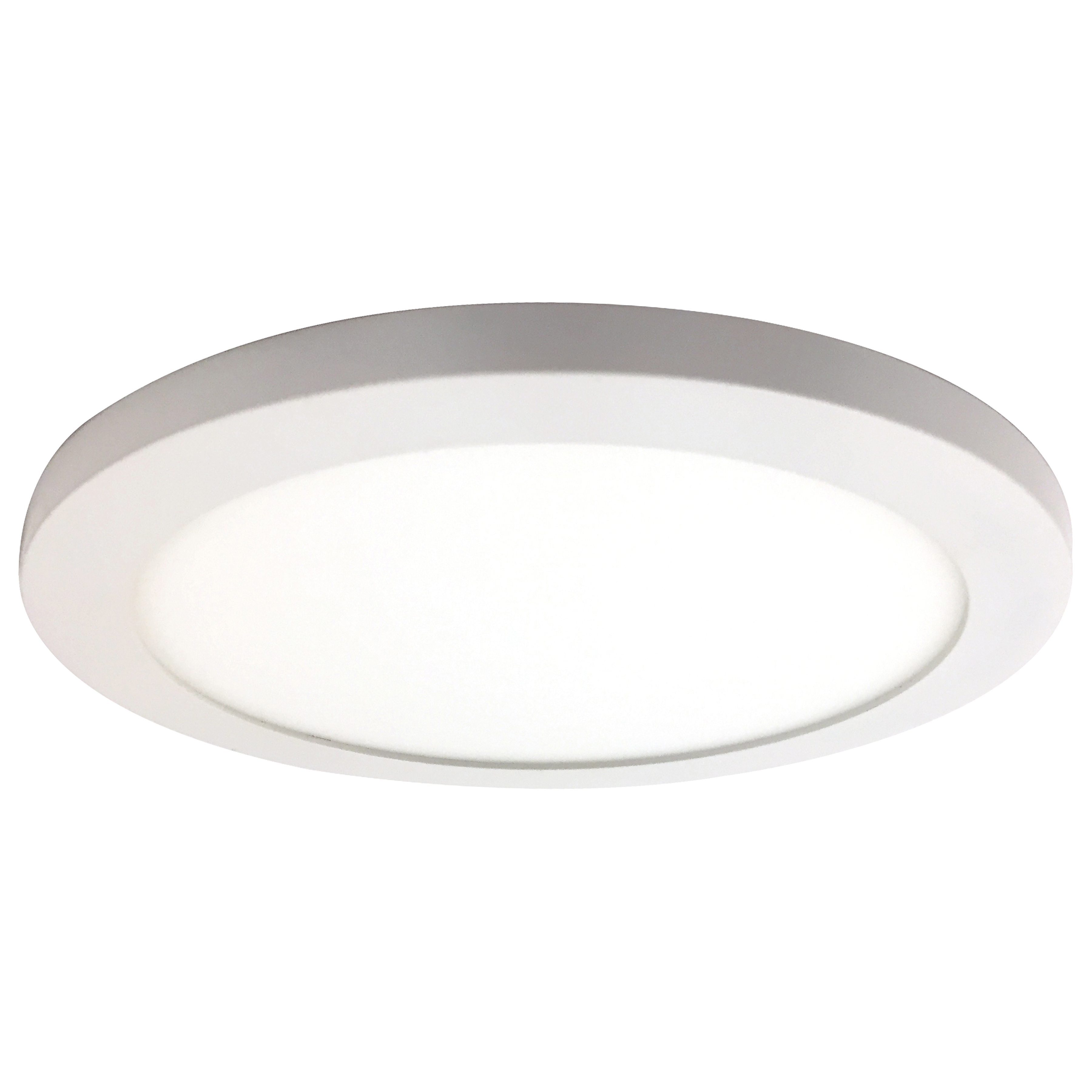 Disc