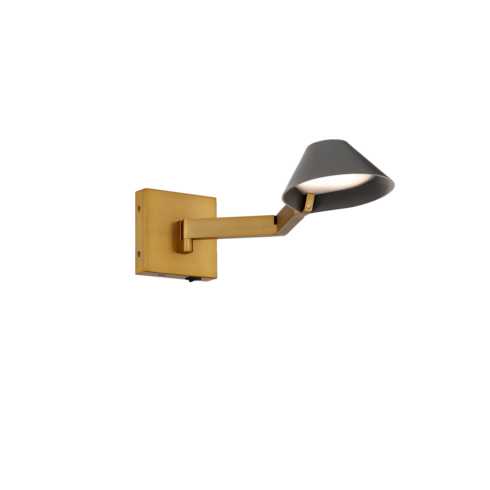 Pavilion Swing Arm Light