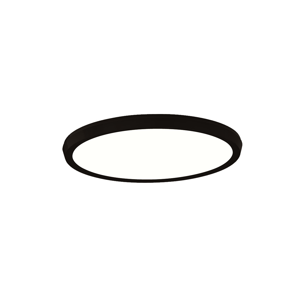 Argo Flush Mount Light
