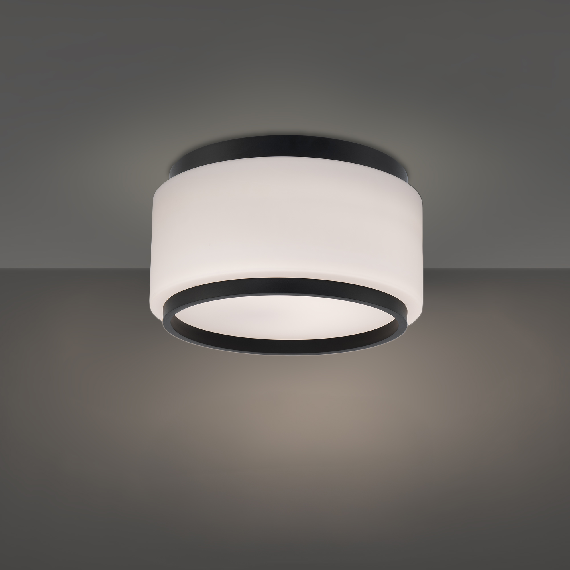 Preston Flush Mount Light