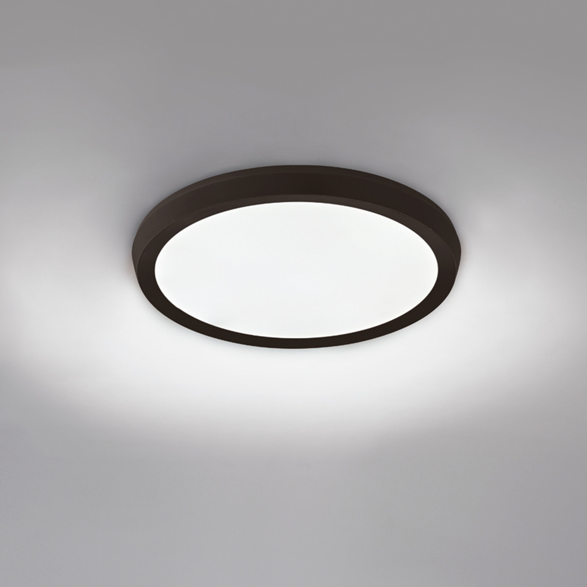 Argo Flush Mount Light
