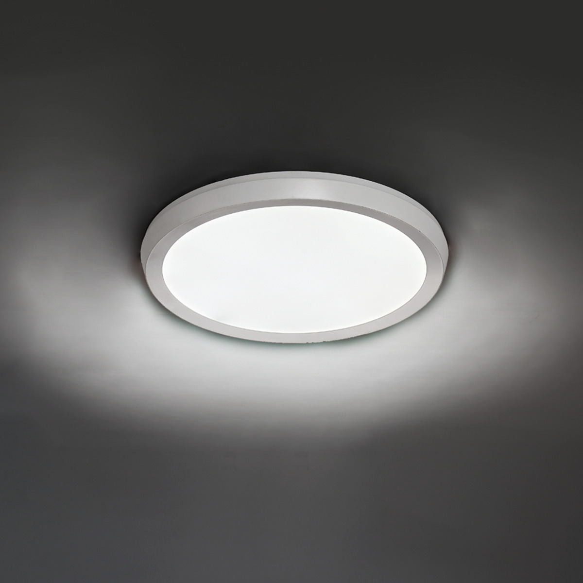 Argo Flush Mount Light
