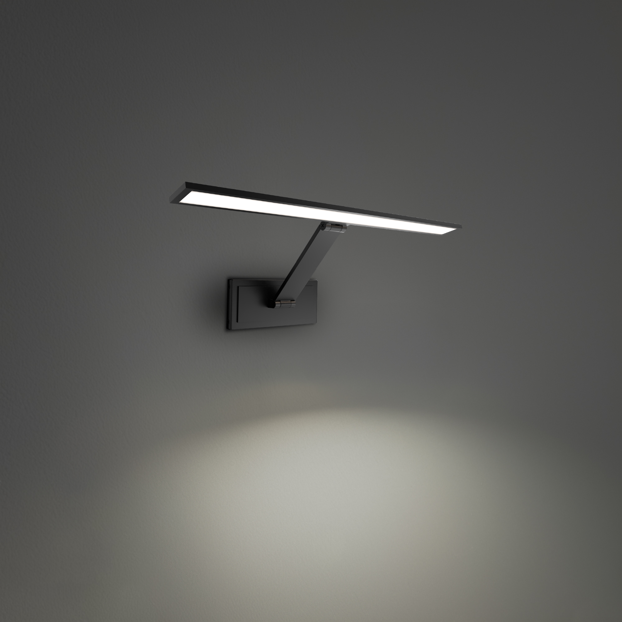 Diver Picture Light