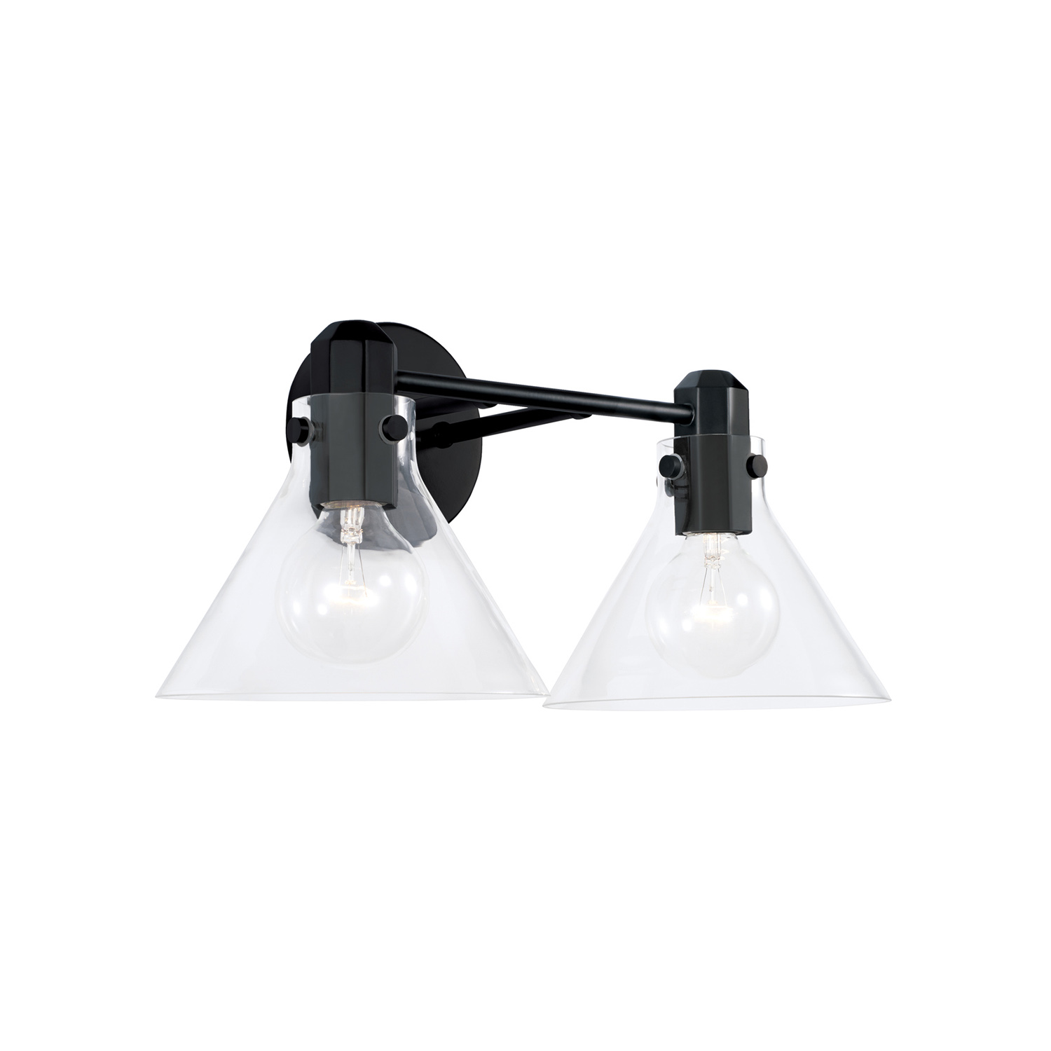 18" W x 9" H 2-Light Vanity in Matte Black with Clear Glass