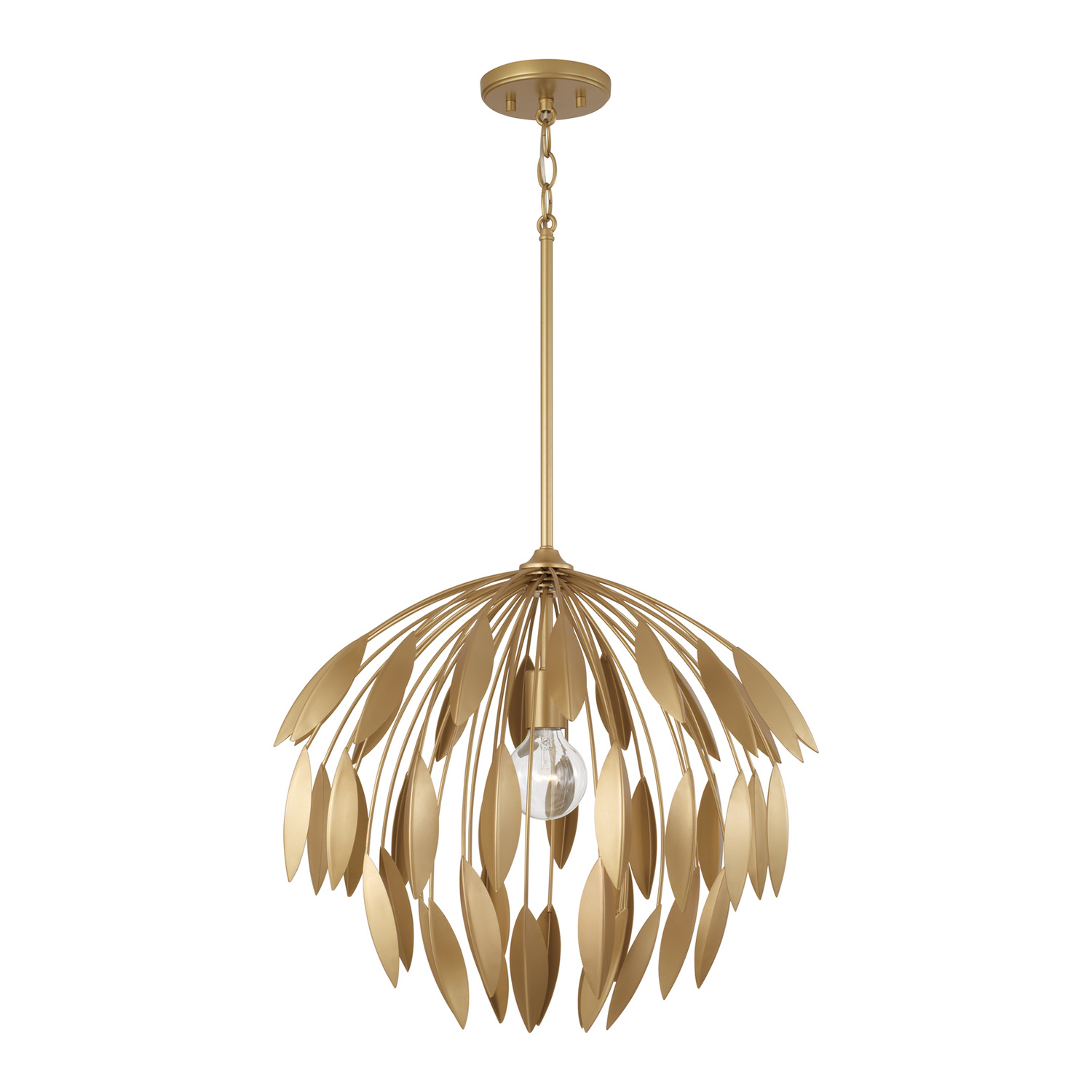 20"W x 18"H 1-Light Botanical Pendant in Buffed Gold