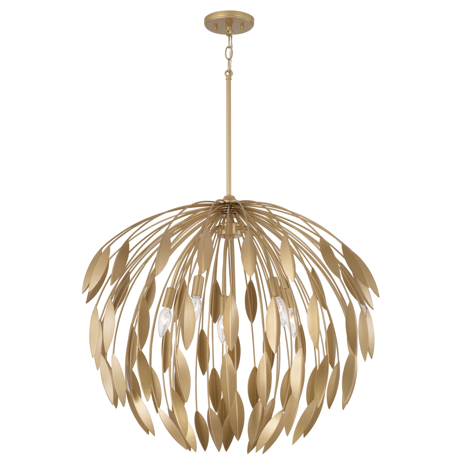 28"W x 25.5"H 5-Light Botanical Pendant in Buffed Gold