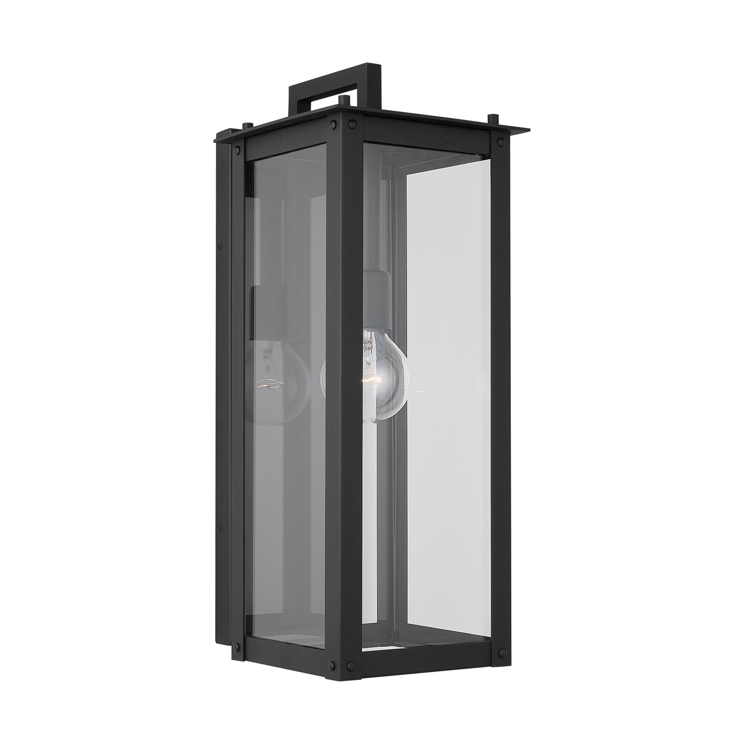 8"W x 21"H Outdoor 1-Light Clear Glass Wall Lantern in Black