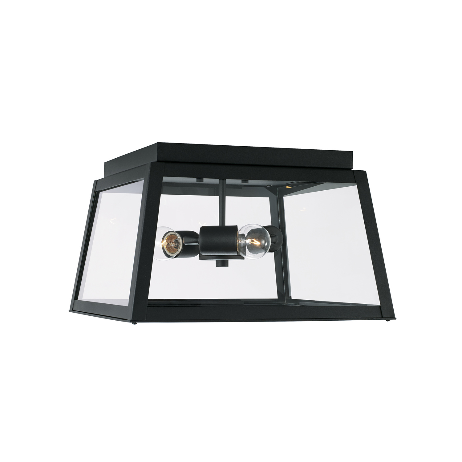 14.5" W x 9" H Wide 3-Light Outdoor Flush Mount in Black with Clear Glass