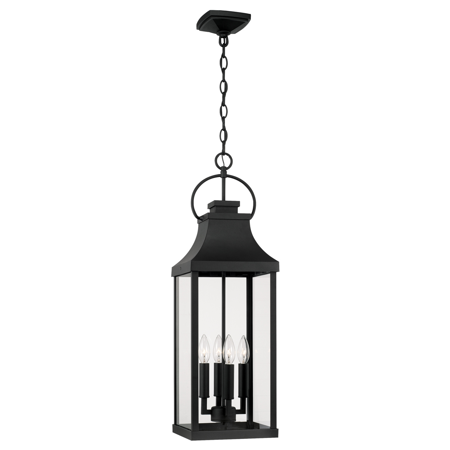 9" W x 29.5" H Outdoor 4-Light Hanging Lantern in Black with Clear Glass